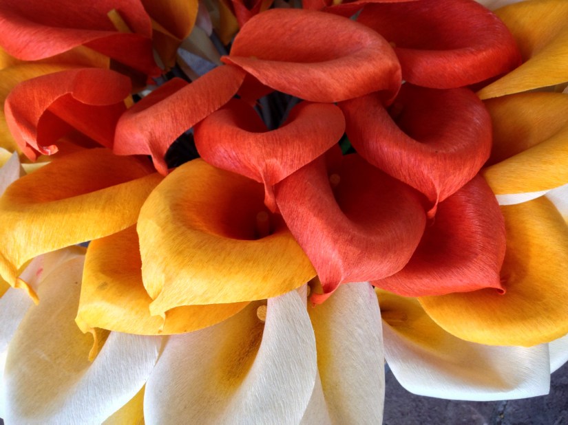 sunset-cala-lilies_29526308160_o