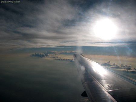 flysky-ShannonKringen