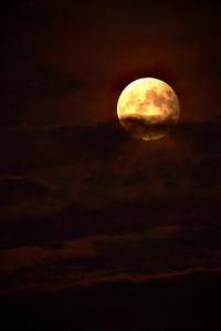 Lunar Eclipse June 15th, 2011