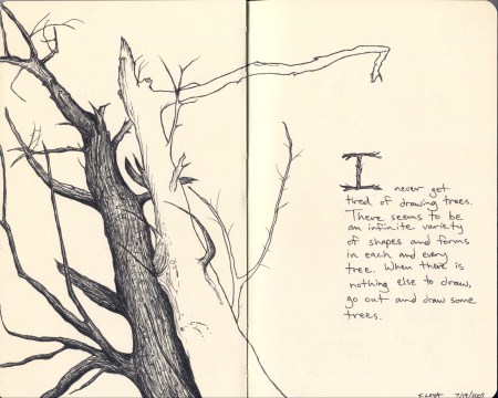 tree-sketch_Steve-Loya_sm