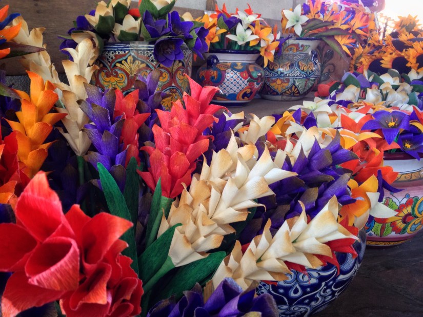 pots-full-of-flowers_29526300440_o