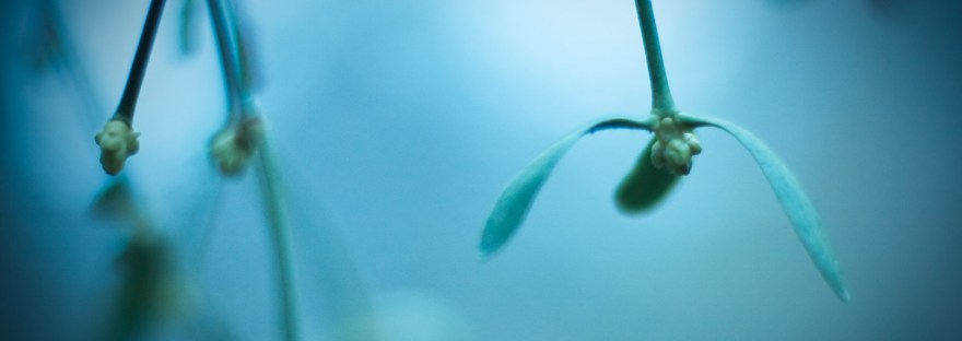 "Flight of the Mistoletoe," by Harold Lloyd