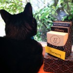 20160217_trust_curiosity2