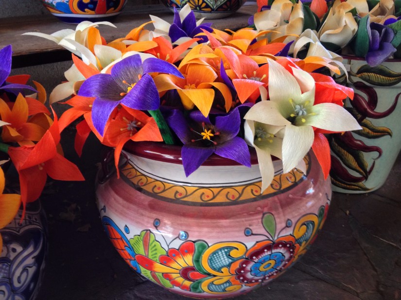 pots-full-of-flowers_29416912840_o
